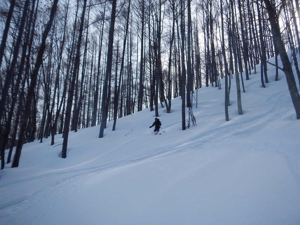 20140212-185413.jpg