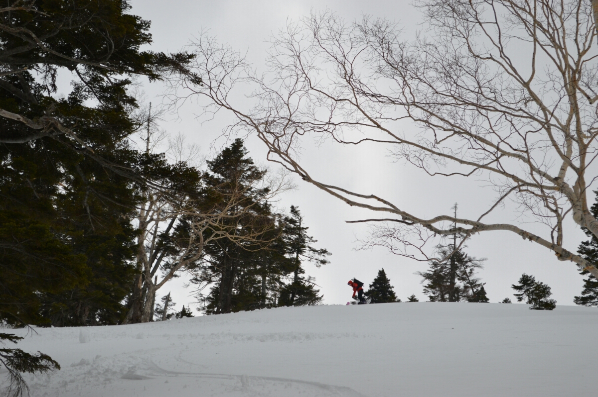 DSC_0004.JPG image