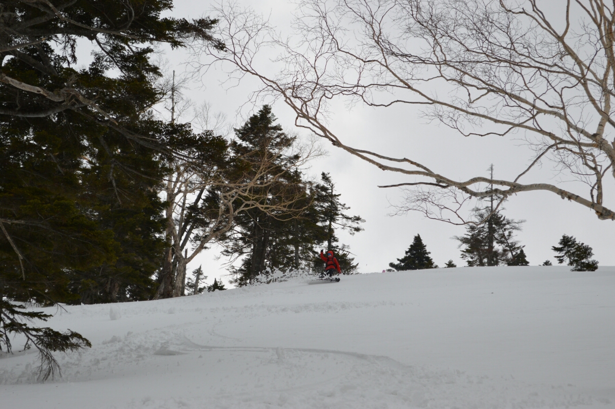 DSC_0009.JPG image