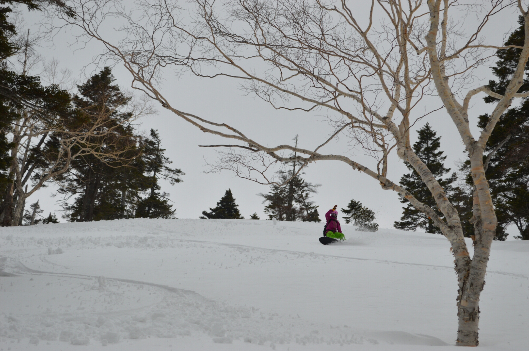 DSC_0041.JPG image