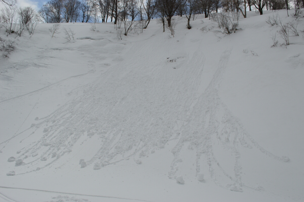 DSC_0051.JPG image