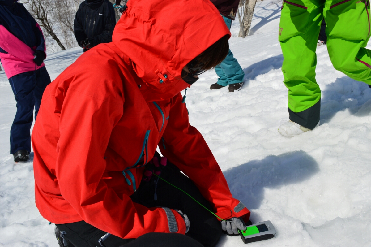 DSC_0062.JPG image