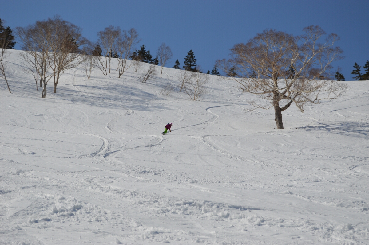 DSC_0073.JPG image