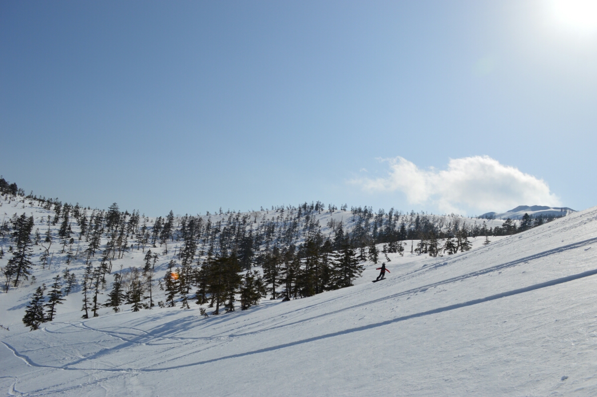 DSC_0129.JPG image