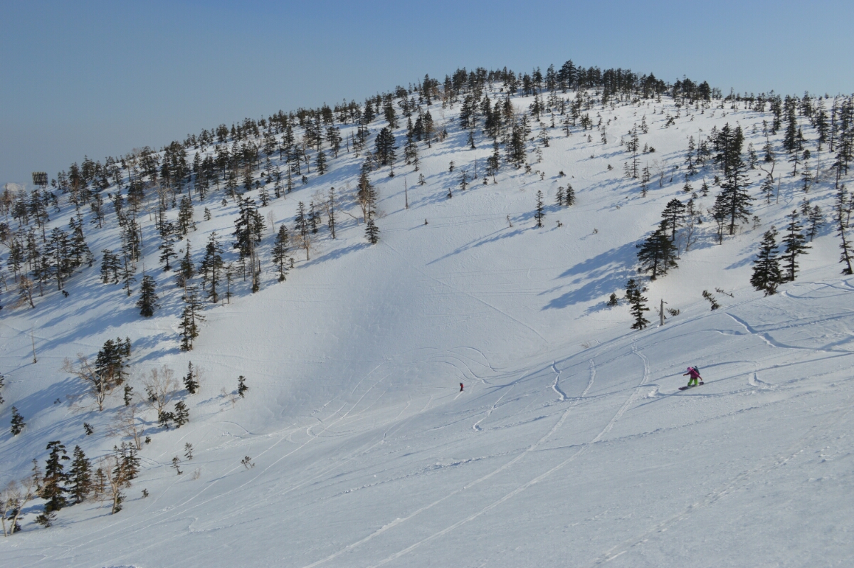DSC_0146.JPG image