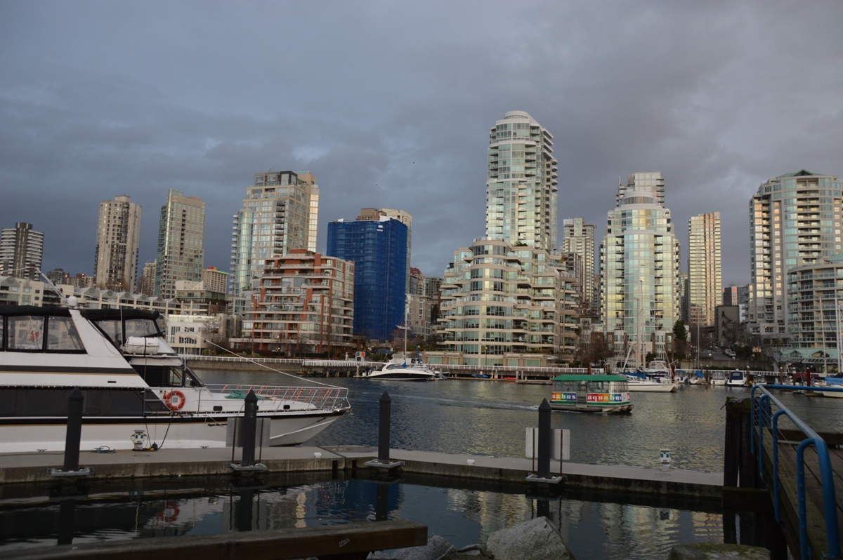 DSC_0558