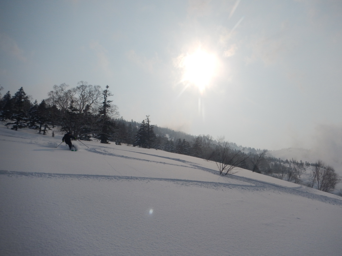 DSCN5284