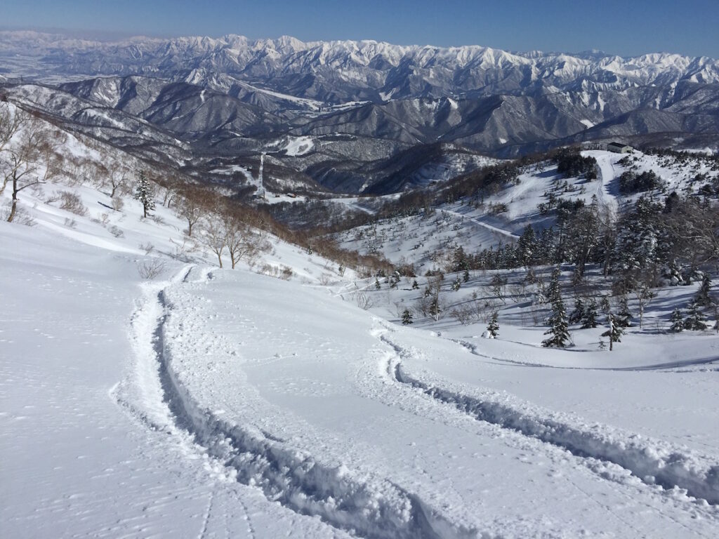 IMG_4544