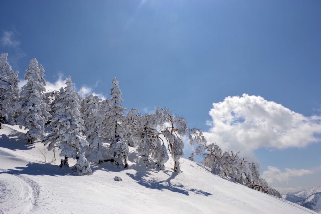 DSC_0074