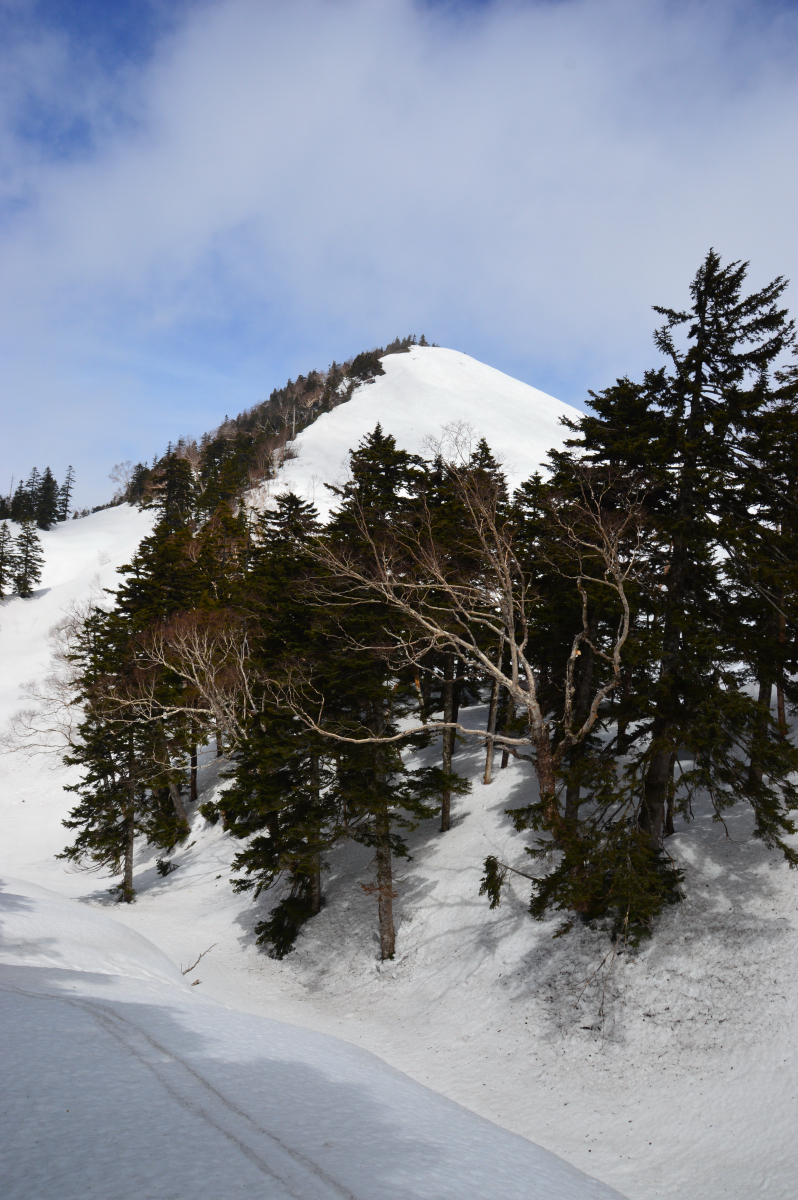 DSC_0006