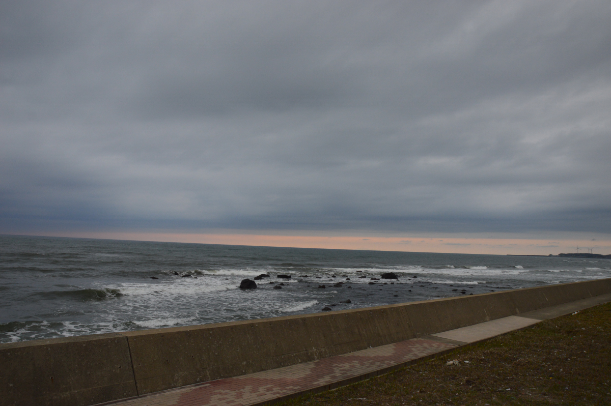 DSC_0800